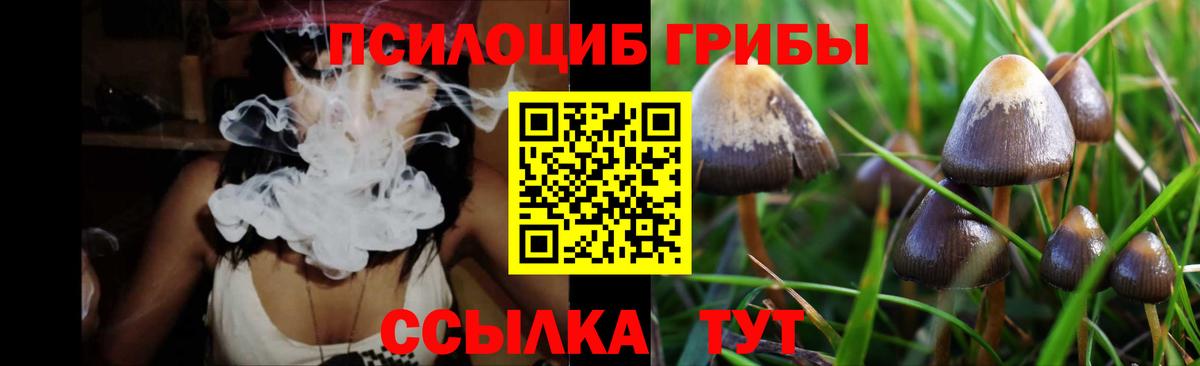 Камышин  Псилоцибиновые грибы Magic Shrooms  Вход с VPN 